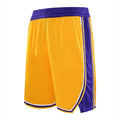 Men's Yellow & Purple Mesh Basketball Shorts — Athletic Training Shorts with Pockets